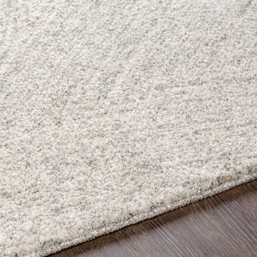 Close-up of the Eaglehawk Luxe Rug showing its plush texture and subtle charcoal and cream color variations. Texture