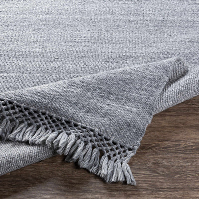 Eagletown Flatweave Performance Rug