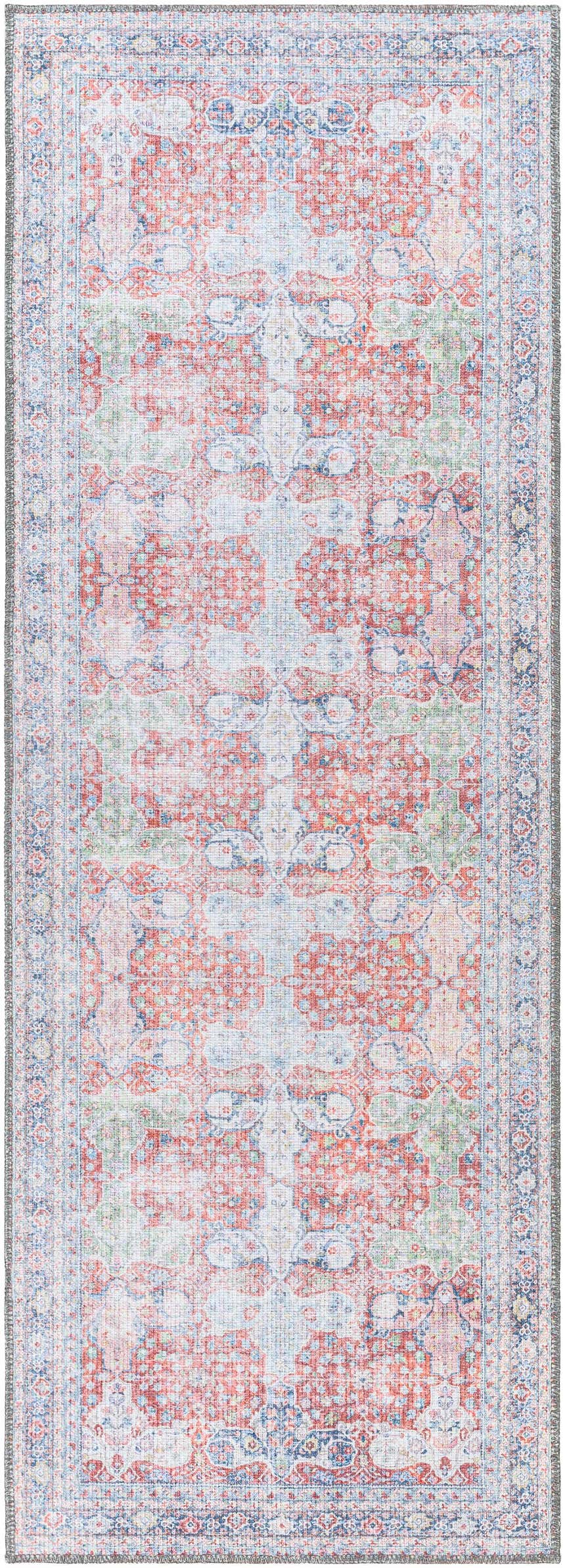 Detailed Rust Goma Vintage Area Rug with blush, red, blue, and sage green oriental pattern. Design-Runner-2773