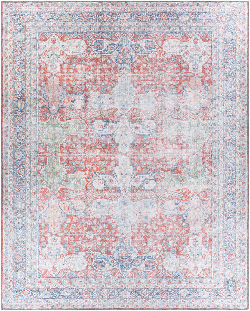 Detailed Rust Goma Vintage Area Rug featuring blush, brick red, and blue floral patterns. Design-Rectangle-7696
