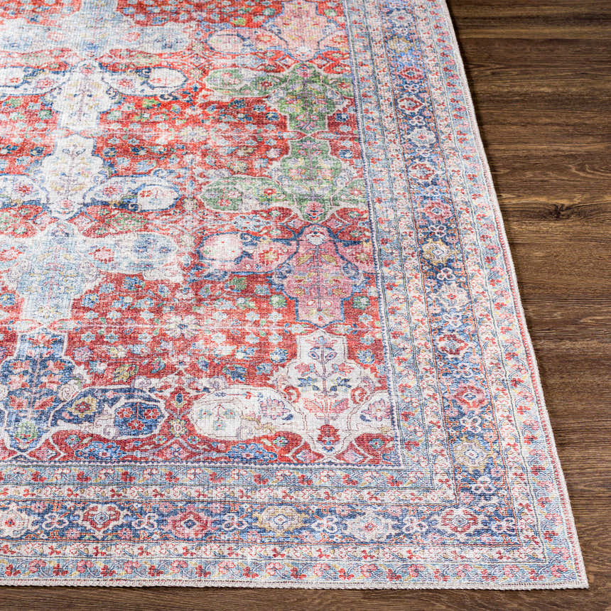 Close-up of the Rust Goma Vintage Area Rug showing its blush, red, blue, and cream bohemian pattern on a wood floor. Front