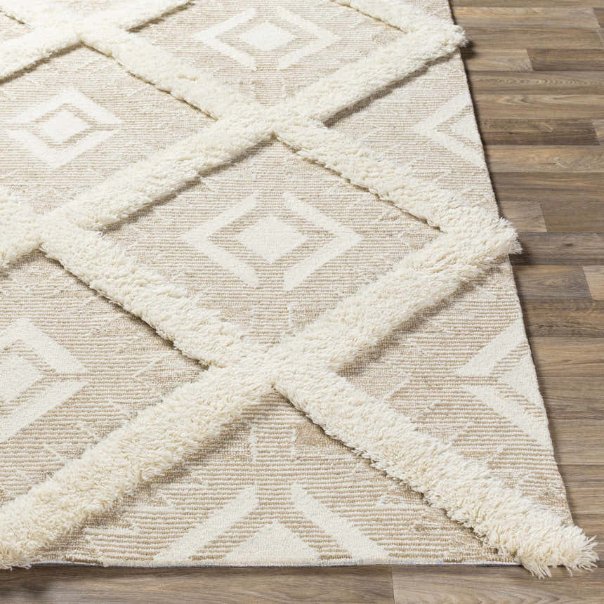 Close-up of the hand-tufted Goodridge Area Rug. Cream and light brown rug with geometric diamond pattern and shaggy accents. Front