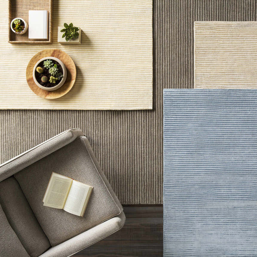 Overhead shot of Ahmeek Area Rug in medium gray, cream, and blue with horizontal stripes, styled with a chair and succulents. Styleshot