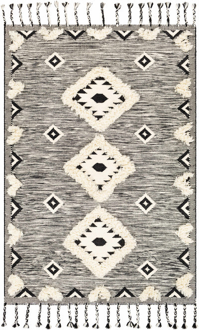 Gardner Cream on Gray Wool Tassel Rug - Clearance