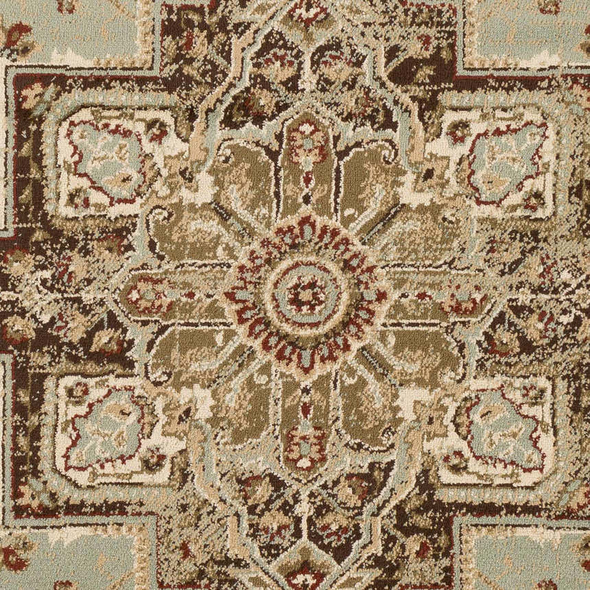 Close-up of the Granger Area Rug. Features a traditional oriental pattern in burgundy, brown, beige, sage, and tan. Swatch