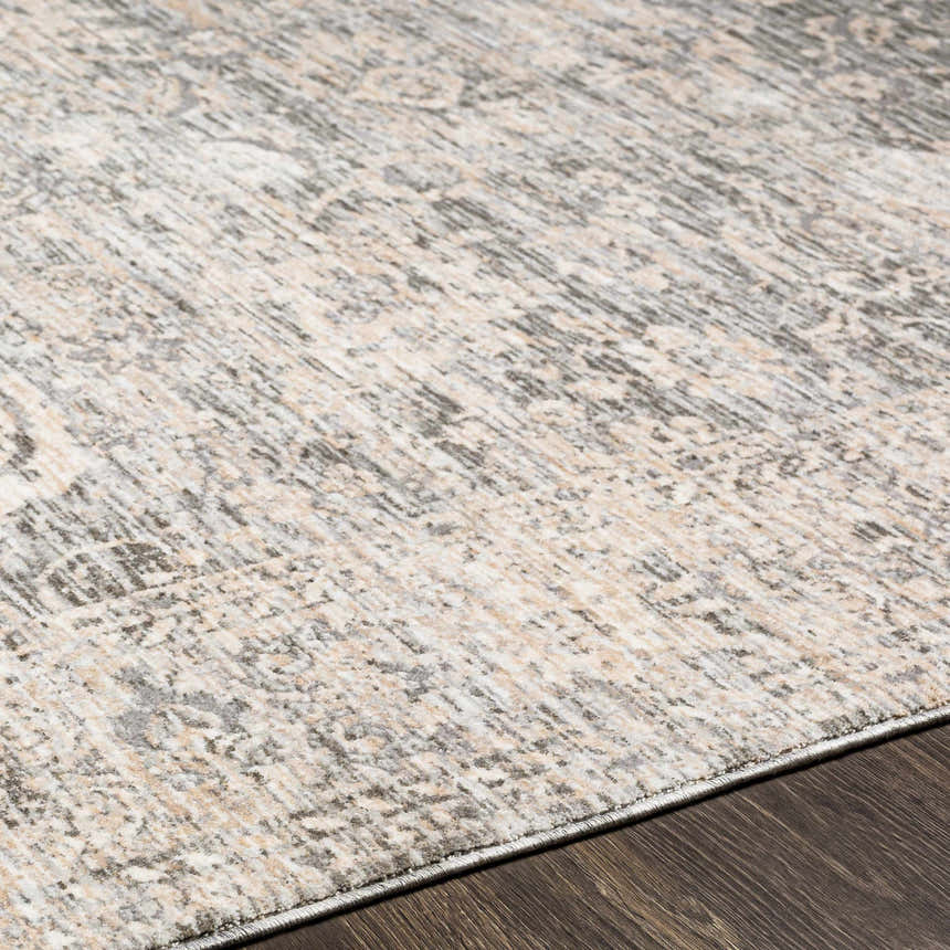 Close-up of the Guiwanon Area Rug, a cream, gray, and peach farmhouse style rug with a traditional pattern. Texture