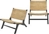 Ulhasnagar Black Accent Chair - Clearance