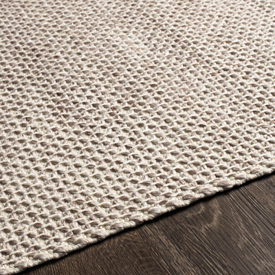 Hadston Flatweave Performance Rug