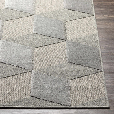 Haguimit Area Carpet - Clearance