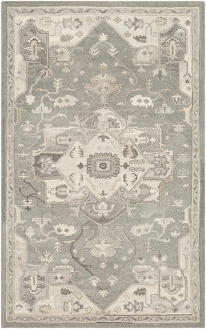 Broomfield 1196 Hand Tufted Taupe Wool Rug