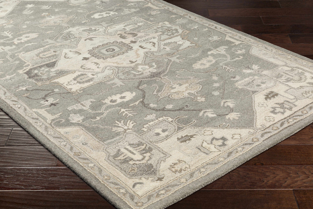 Broomfield 1196 Hand Tufted Taupe Wool Rug – Boutique Rugs