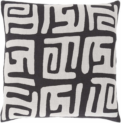 Hawking Pillow Cover