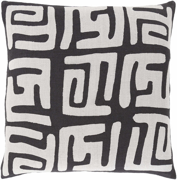 Hawking Pillow Cover