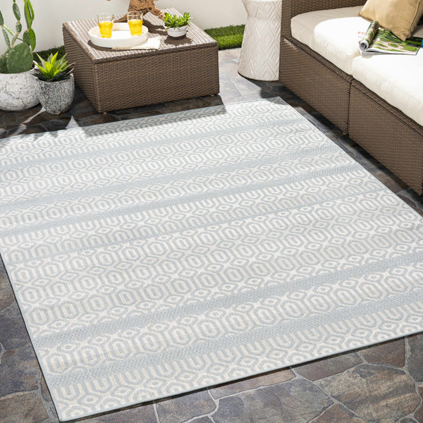 Heckenberg Area Rug - Clearance