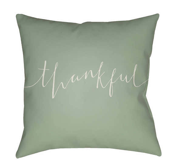 Hedy Outdoor Throw Pillow