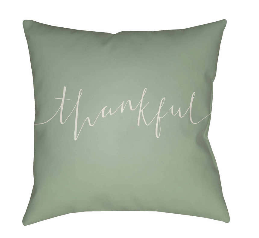 Hedy Outdoor Throw Pillow