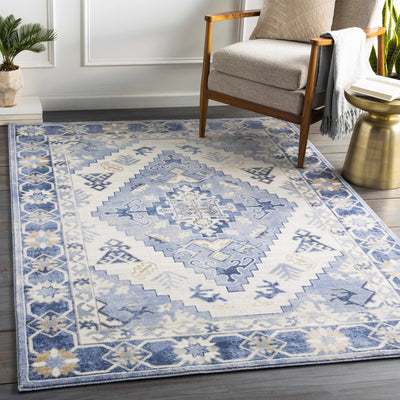 Hilo Area Rug - Clearance