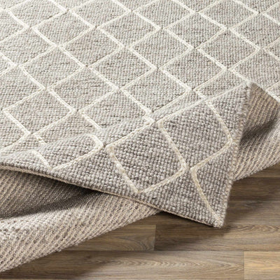 Hindley Area Rug - Promo