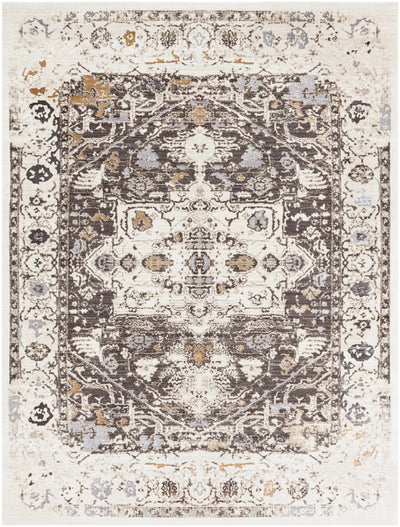 Holicong Area Rug - Clearance