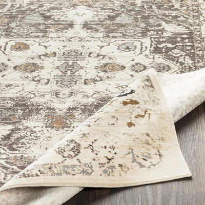 Holicong Area Rug - Clearance