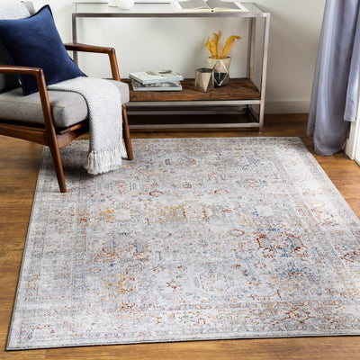 Holtze Area Rug - Clearance