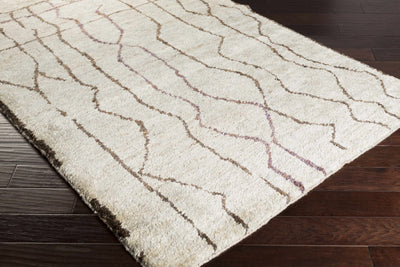 Hoven Area Rug - Clearance
