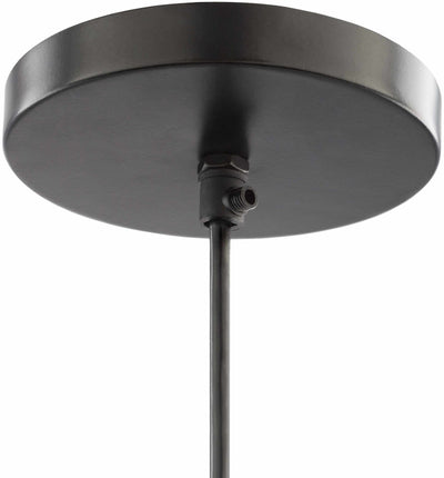 Hytop Black Metal Ceiling Lighting