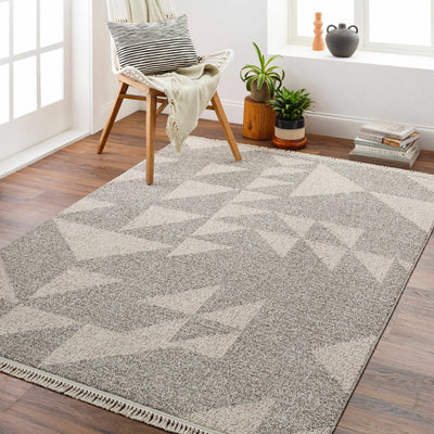 Gray Dylan Area Rug