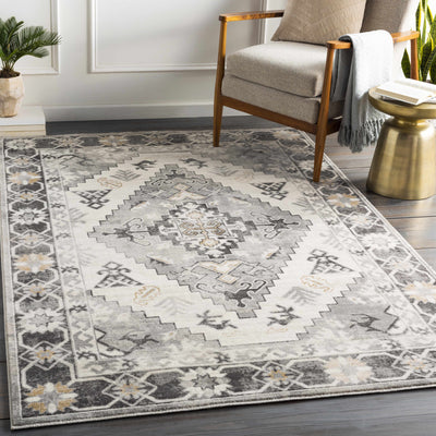 Brooten Updated Traditional Rug - Clearance