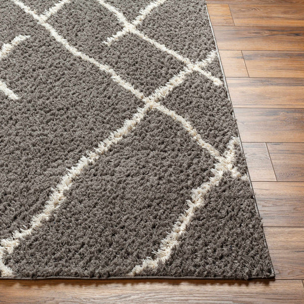 Ildri Area Rug