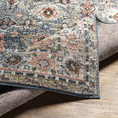 Ilinge Traditional Area Rug - Clearance