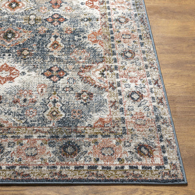 Ilinge Traditional Area Rug - Clearance