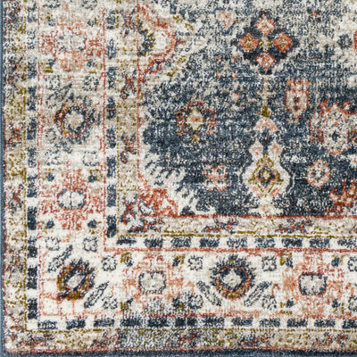 Ilinge Traditional Area Rug - Clearance