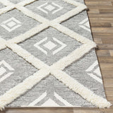 Imnaha Area Rug - Clearance