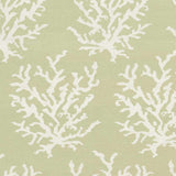 Indio Area Rug - Clearance