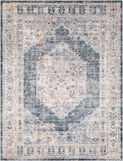 Indore Area Rug - Clearance