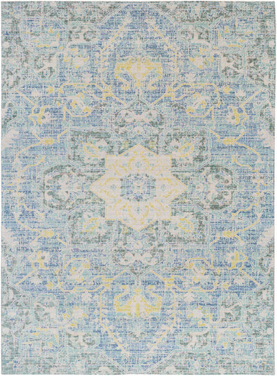 Isabella Area Rug - Clearance