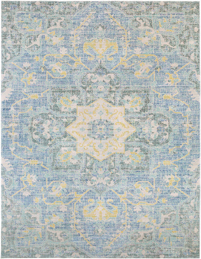 Isabella Area Rug - Clearance