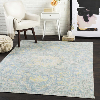 Isabella Area Rug - Clearance