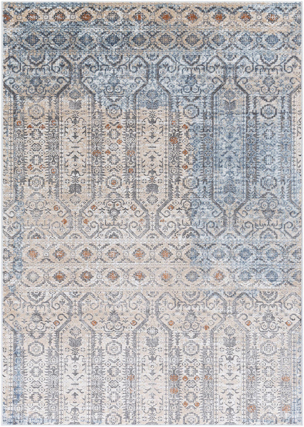 Ishpeming Distressed Persian Rug - Clearance