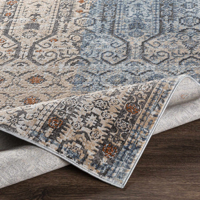 Ishpeming Distressed Persian Rug - Clearance