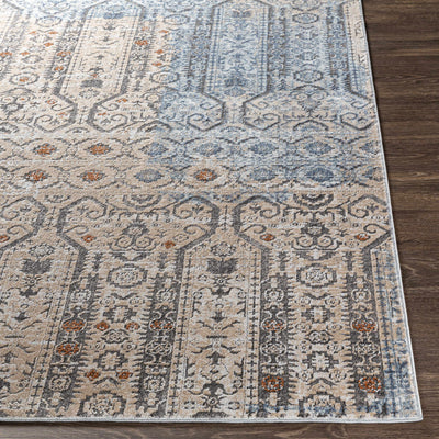 Ishpeming Distressed Persian Rug - Clearance