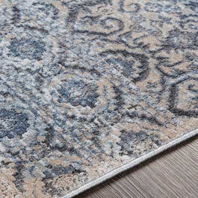 Ishpeming Distressed Persian Rug - Clearance