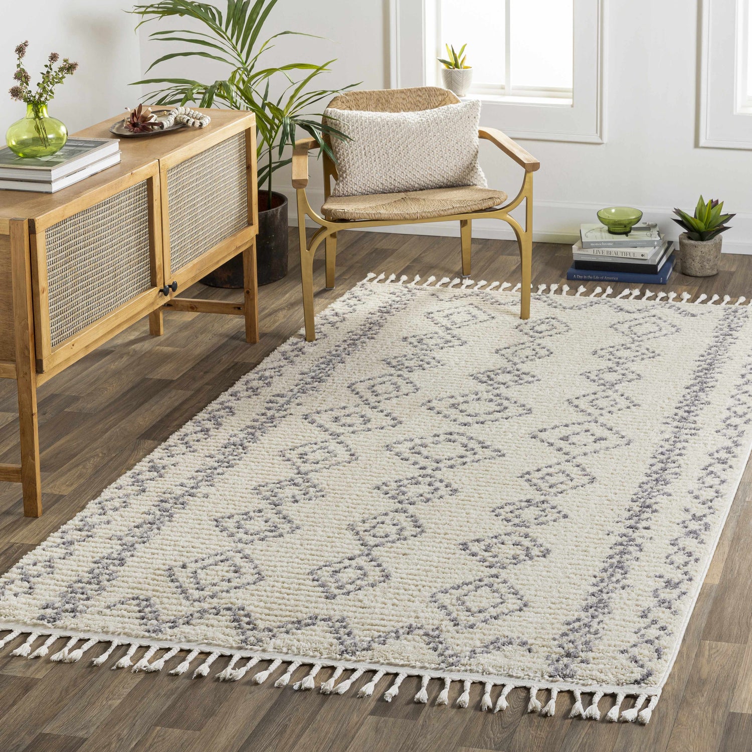 Living room scene with a neutral Jabonga Area Rug, wooden furniture, and indoor plants for a cozy, transitional style. Roomscene-Rectangle