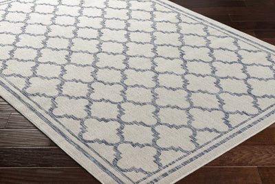 Noam Cream & Blue Indoor & Outdoor Rug - Clearance