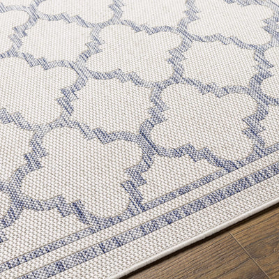 Noam Cream & Blue Indoor & Outdoor Rug - Clearance