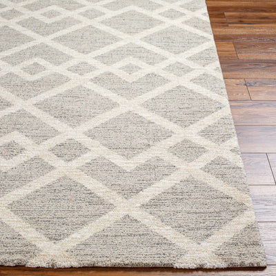 Joed Area Rug