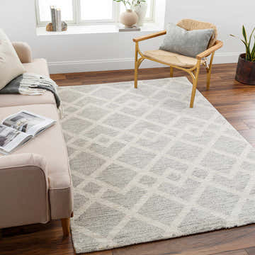 Living room scene with a cloud gray Joed Area Rug, beige sofa, and woven chair on dark wood floors. Roomscene-Rectangle