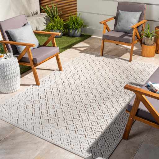 Jolivue Area Rug - Clearance