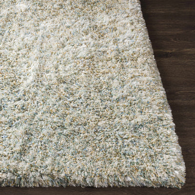 Kaibito Area Rug - Clearance